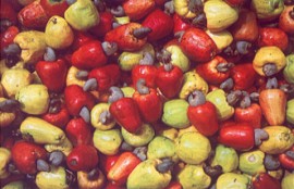 Helena Veloso e Lu&iacute;s Almeida, Educa&ccedil;&atilde;o Visual e Tecnol&oacute;gica, 5&ordm;/6&ordm;, Porto Editora, p&aacute;g. 16