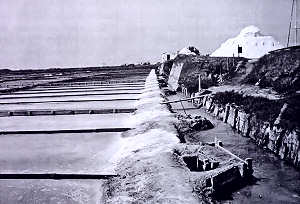 Processo tradicional de obtenção de sal, numa das poucas salinas ainda activa de Aveiro. Clicar para ampliar.