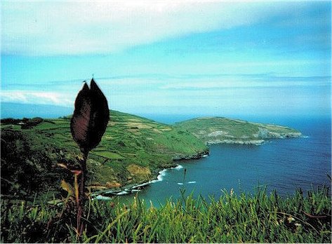 Imagem dos A�ores, obtida por Elsa Marinho.