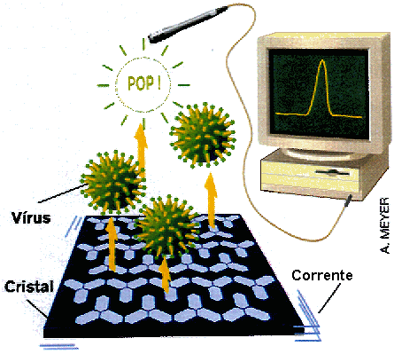 In: "Science et Vie", n.� 1010, Nov. 2001, p. 27.