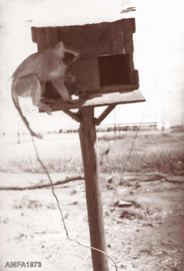 Clicar para ampliar.