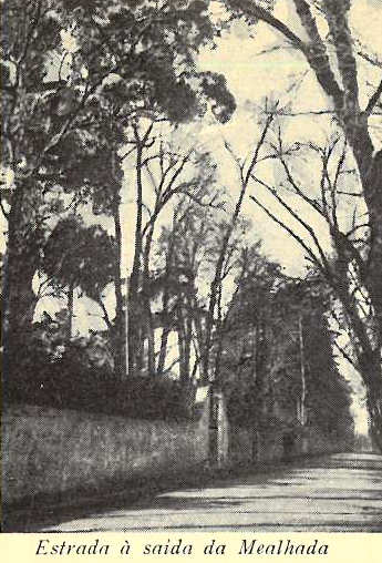Estrada � sa�da da Mealhada