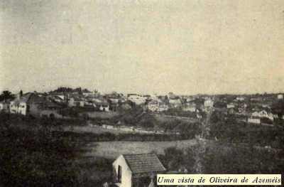 Uma vista de Oliveira de Azem�is