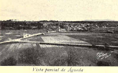 Vista parcial de �gueda