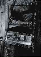 Da s�rie "Narcisa" (IV) - From the series "Narcisa" (IV) | Impress�o normal em papel britado 32,5x42,5 cm - 2006