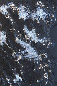 Teresa Vilar - S/ t�tulo - Clicar para ampliar.