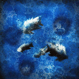 Vasco Os�rio - Peixes azuis - Clicar para ampliar.