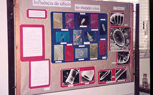 1 - Aspecto de um dos painéis da exposição.