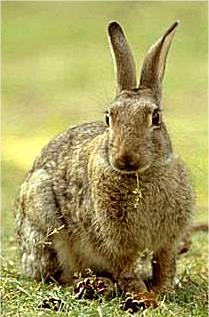 Clica na imagem para obteres mais informações.