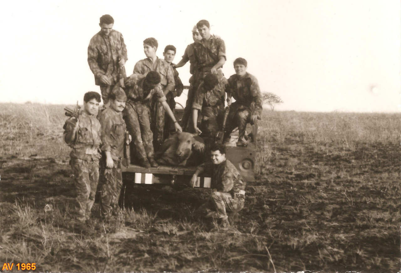 Clicar para ampliar.