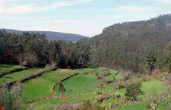 Fotografia de Jos� Santos Silva, �gueda 2007.