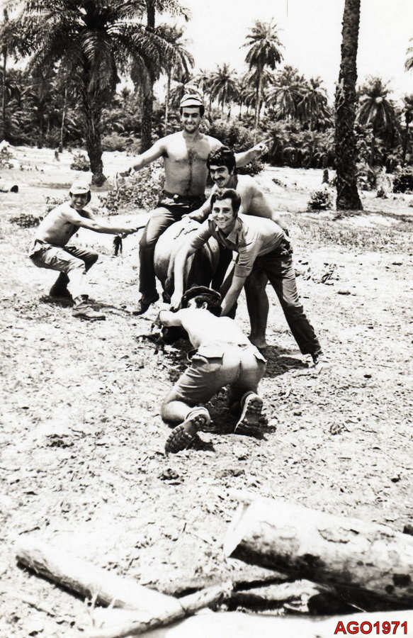 Clicar para ampliar.