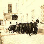 Foto 6x6 cedida por M� Isabel Pereira.