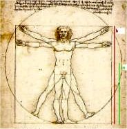 O homem de Vit�rbio.