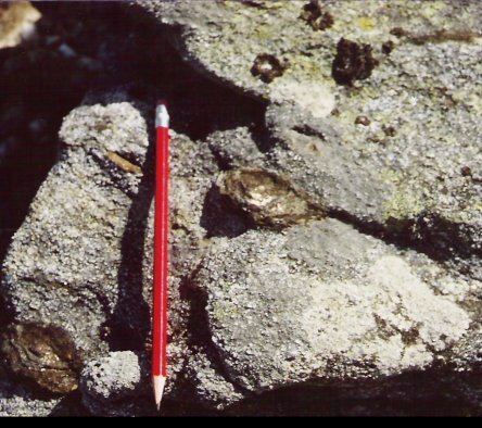 N�dulos de biotite