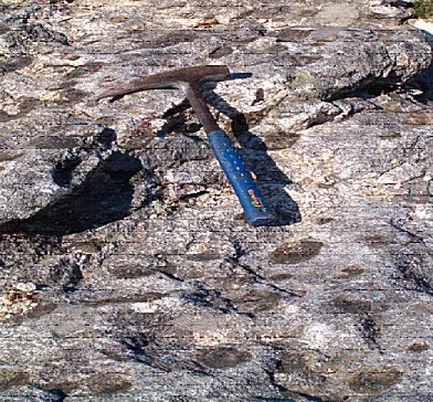 Granit�ide nodular